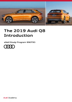 SSP 990793 - The 2019 Audi Q8 Introduction 